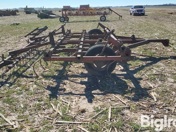 international-45-image-4