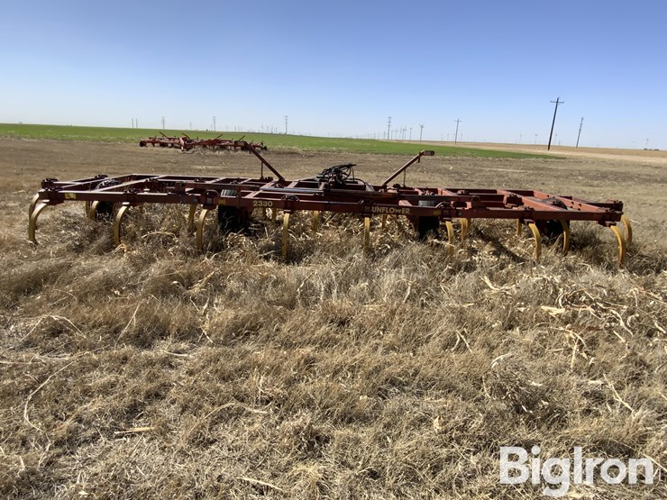 sunflower-2330-image-6