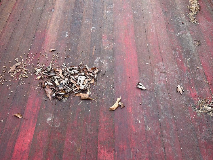 dohrman-6ft-x-12ft-wood-barge-wagon-image-24