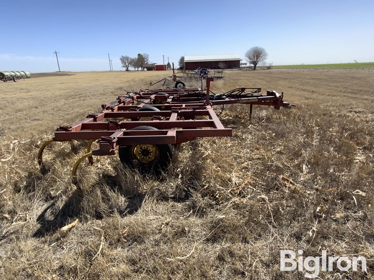 sunflower-2330-image-4