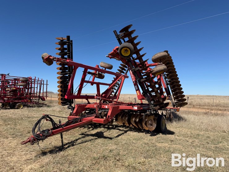 sunflower-1434-36-image-1