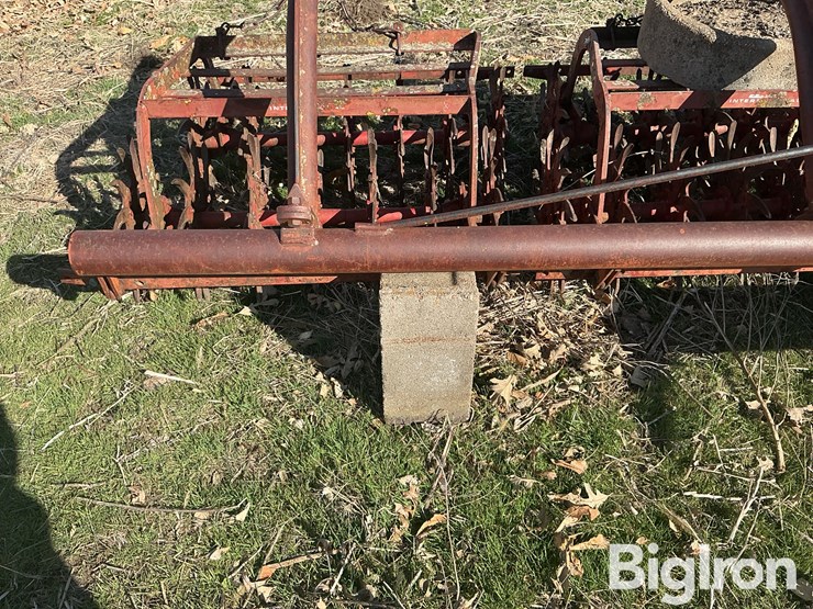 international-3-image-20