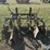 2-row-cultivator/hiller-image-6