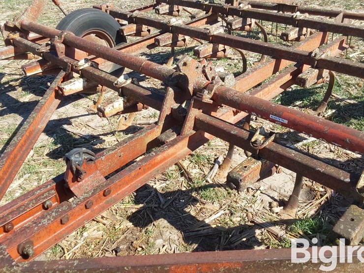 international-45-image-16