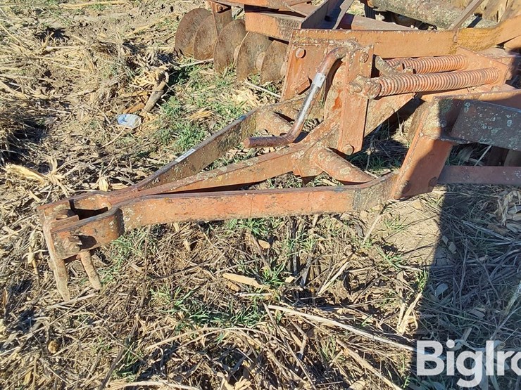 international-470-image-19