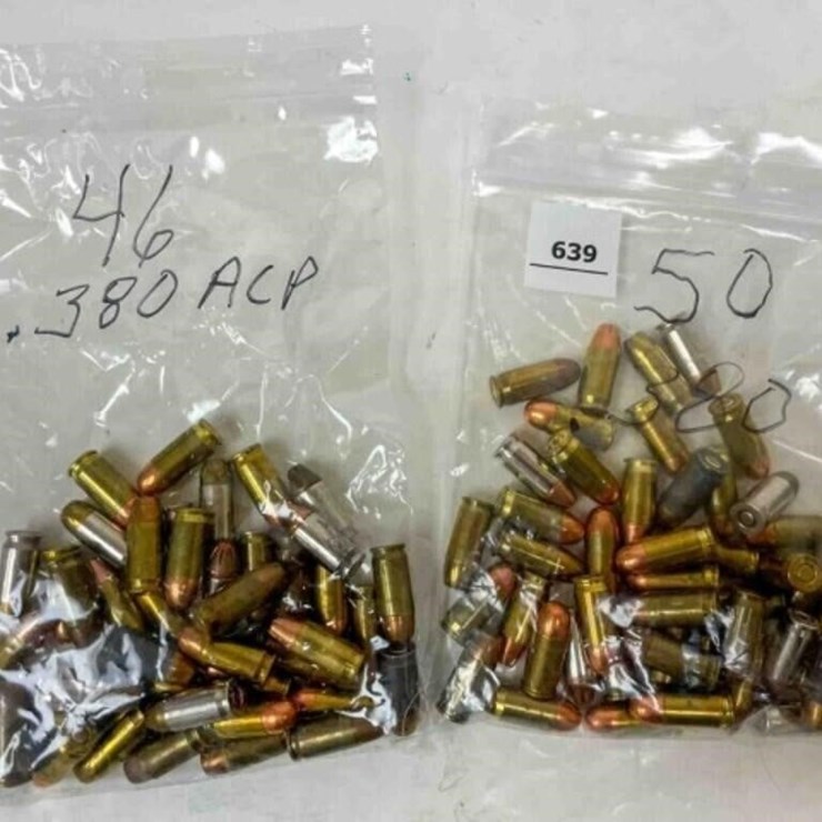 .380 auto ammo