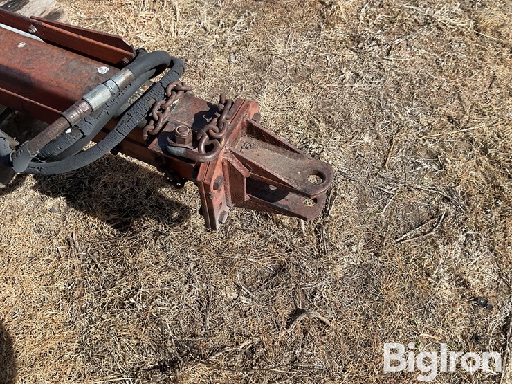 international-50-image-11