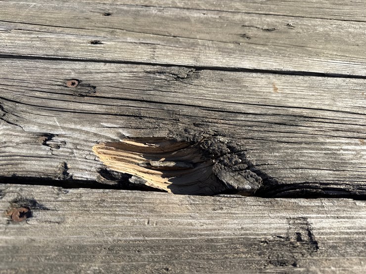 big-tex-car-hauler-image-21