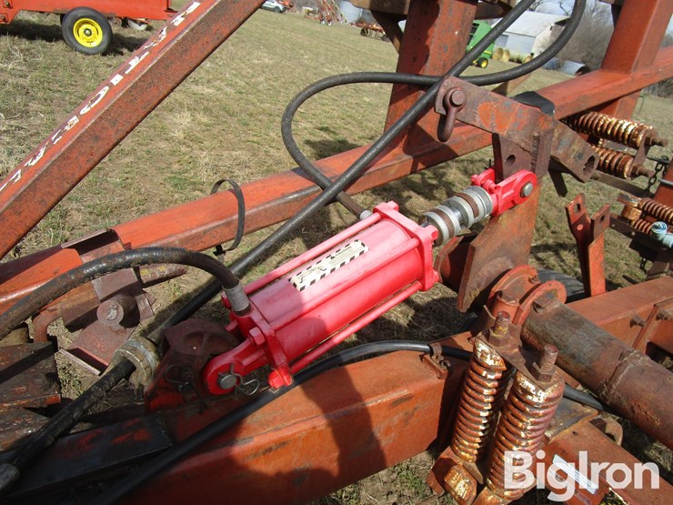 international-55-image-11