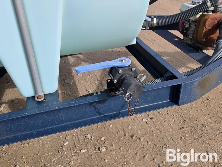 schaben-p265-1010-image-20