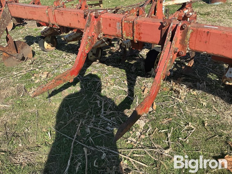 international-153-image-15