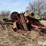 farm-scrap-metal-pile-image-1