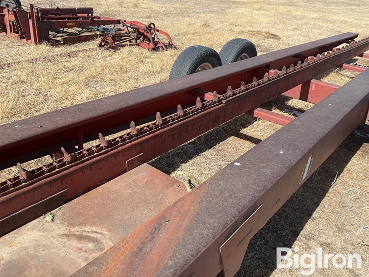 international-50-image-17