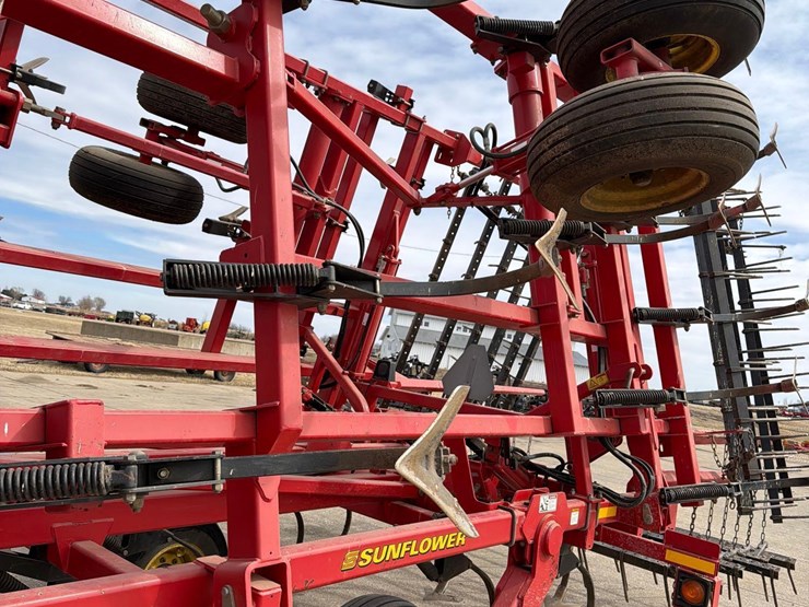 sunflower-6333-image-12