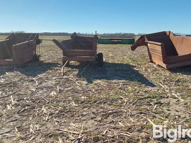 kelly-ryan-4x10-image-4