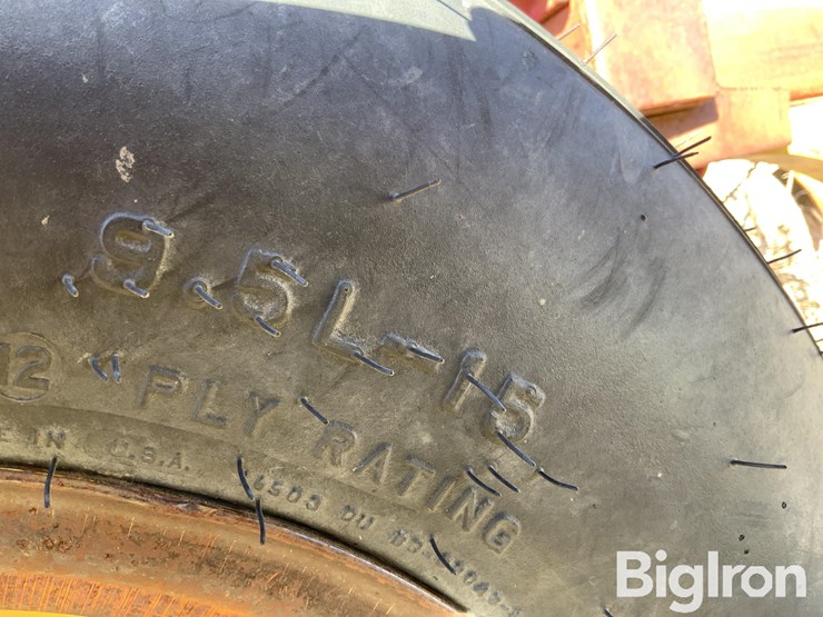 sunflower-2330-image-15