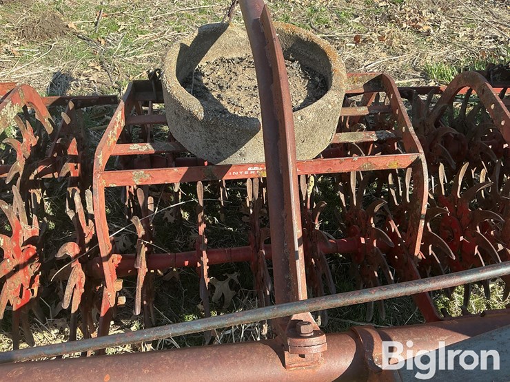 international-3-image-19