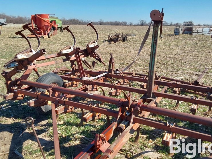 international-45-image-11