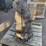 concrete-bear-statue-image-4