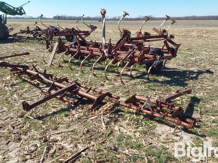 international-45-image-5