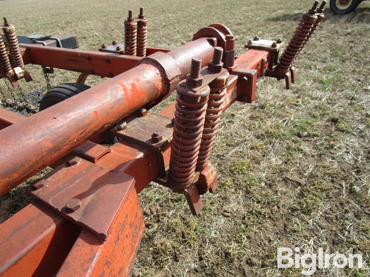 international-55-image-14