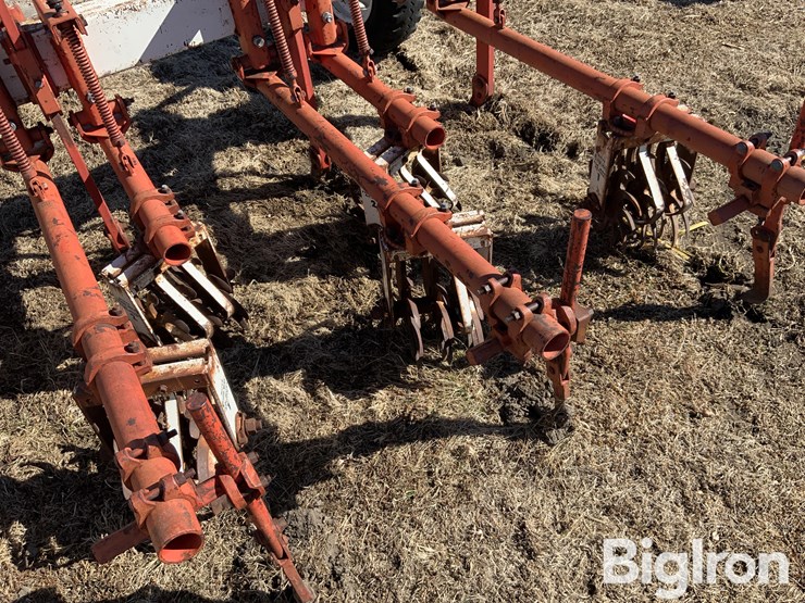 lilliston-rolling-cultivator-image-15