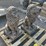 (2)-concrete-lion-statues-image-1
