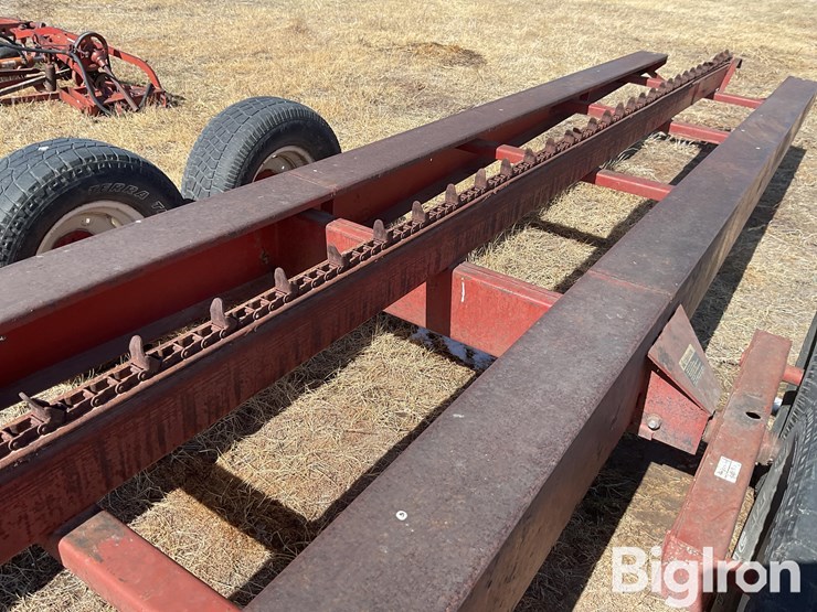 international-50-image-18