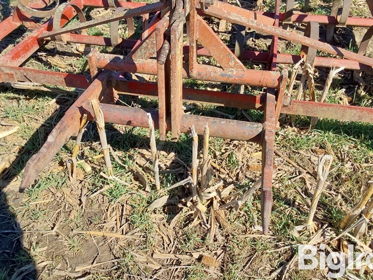 international-22-image-10