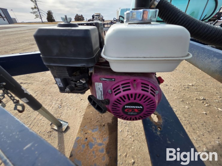 schaben-p265-1010-image-18