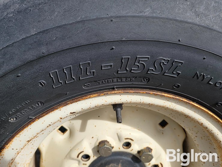 schaben-p265-1010-image-15