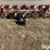 lilliston-rolling-cultivator-image-6