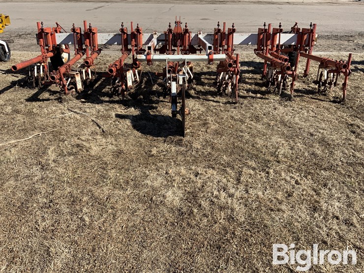 lilliston-rolling-cultivator-image-6