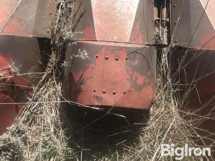 international-963-image-12