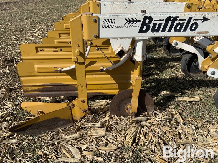 buffalo-6300-image-19