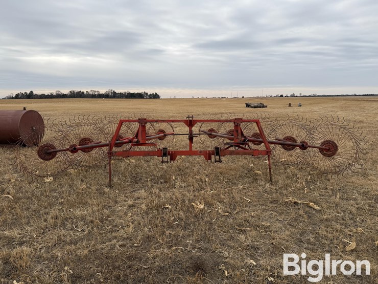 tonutti-10-wheel-rake-image-2