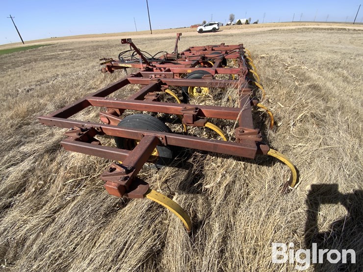 sunflower-2330-image-16