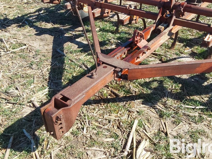 international-45-image-9