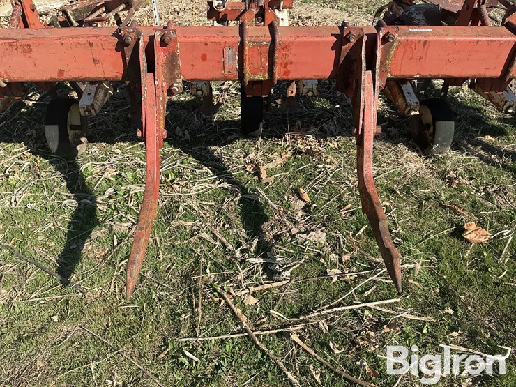 international-153-image-16