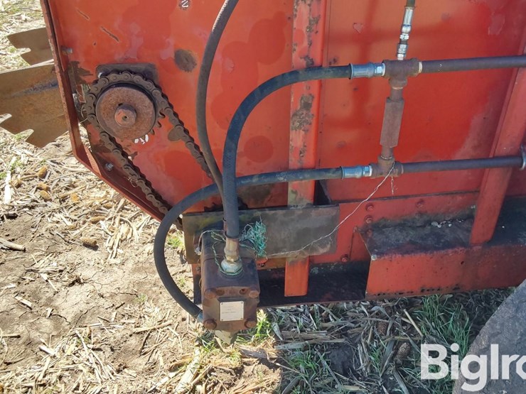 international-575-image-13