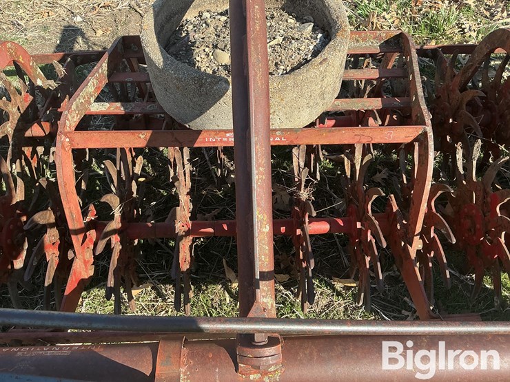 international-3-image-14