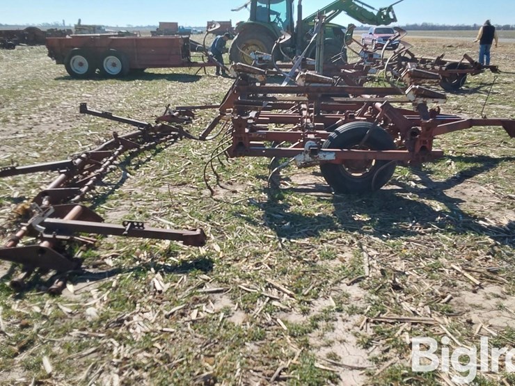 international-45-image-4