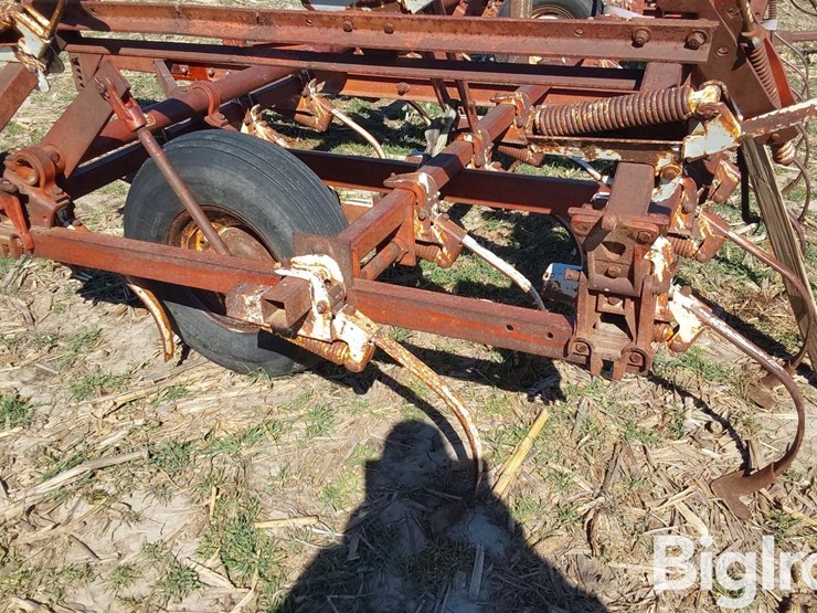 international-45-image-16