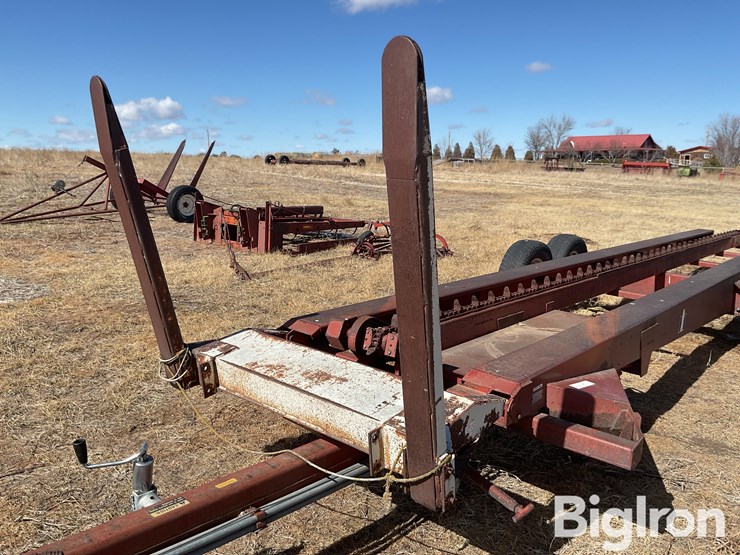 international-50-image-15