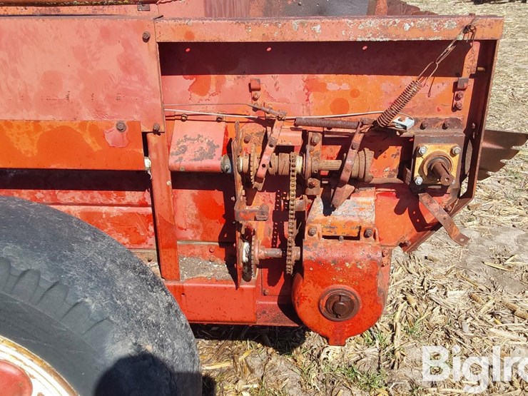 international-575-image-18