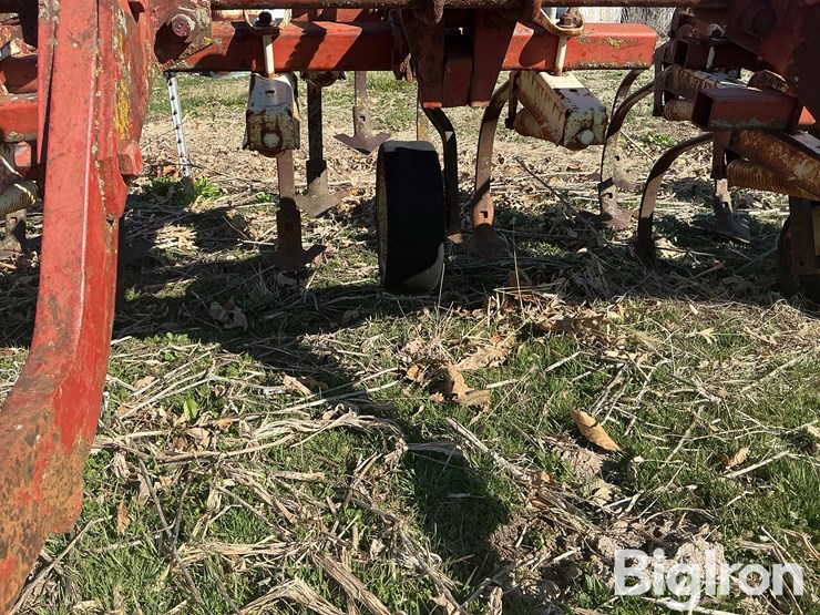 international-153-image-17