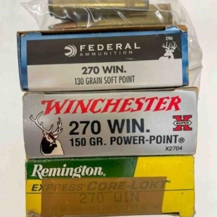 .270 Win. Ammo