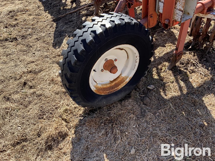 lilliston-rolling-cultivator-image-19