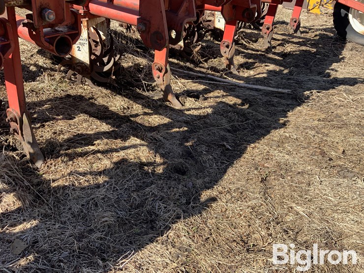 lilliston-rolling-cultivator-image-12