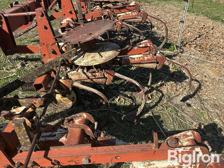 international-153-image-11